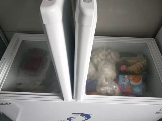 冰柜|澳柯玛BC/BD-306NE冰柜到底怎么样，参数如何！