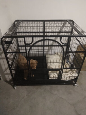  狗笼