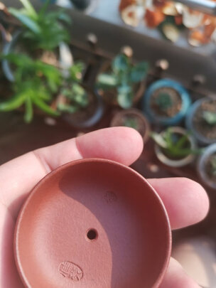百年利永石鼓清水泥选购攻略需注意细节