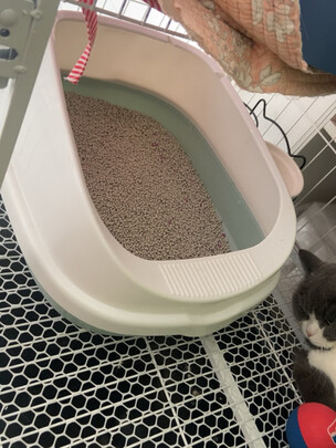 猫砂盆