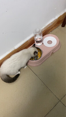 猫粮