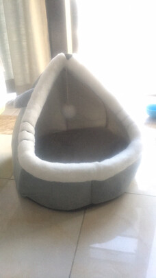 猫窝