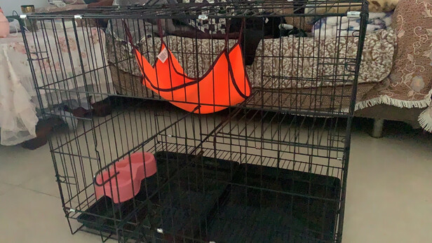  猫笼
