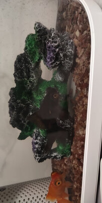鱼缸装饰假山