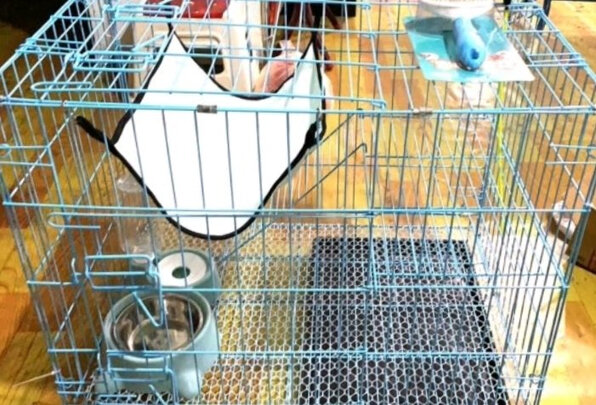 猫笼
