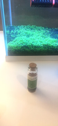 水草种子