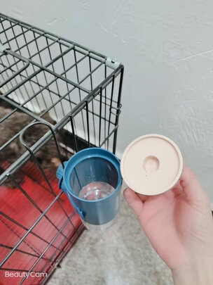 宠物水壶
