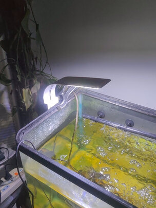 鱼缸灯led灯