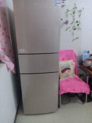 冰箱|海尔BCD-213WMPS好吗？图文评测曝光