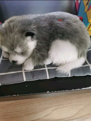 汽车摆件
