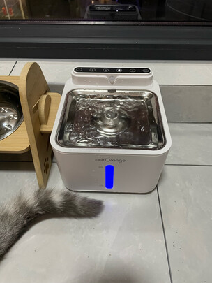 宠物饮水机