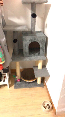猫爬架