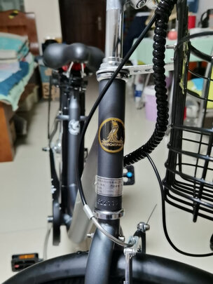 电动自行车