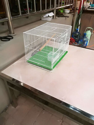 鸟笼