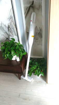 吸尘器|德尔玛DEM-VC02吸尘器怎么样？亲身体验告知你实情！