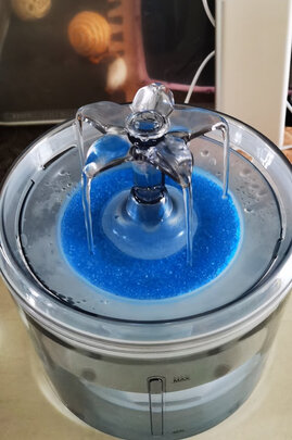 宠物饮水机