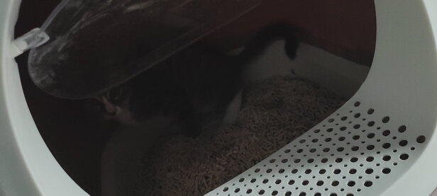 猫砂盆