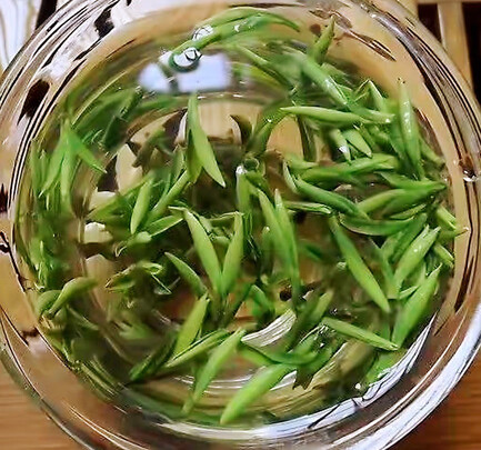 峨眉高山绿茶