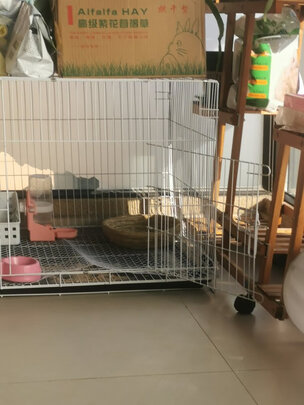 兔笼子