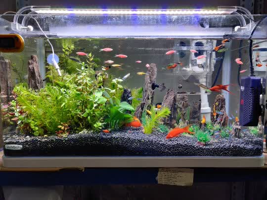 迪普尔 鱼缸灯led灯水草灯爆藻灯水族箱草缸灯管夹灯通用 三排高亮蓝