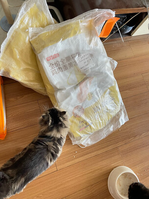 猫粮