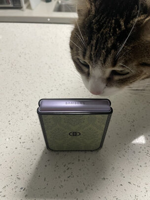 猫粮