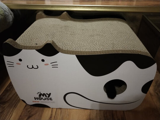 猫窝