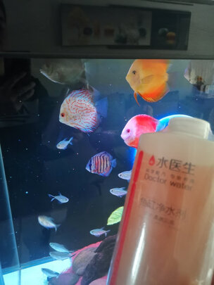 鱼缸硝化细菌