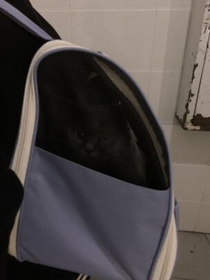 猫包