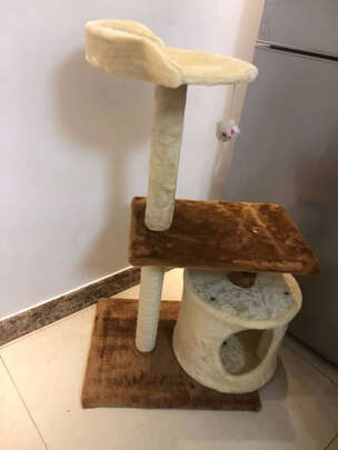 猫爬架
