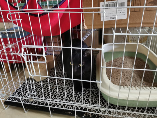  猫笼