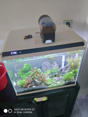 水草泥