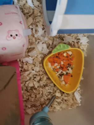 仓鼠木屑