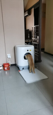 猫砂铲