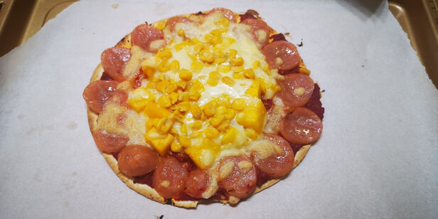 海氏I7风炉烤箱用后两个月感受曝光!新手必看