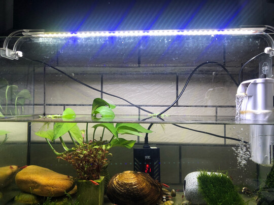 鱼缸灯led灯