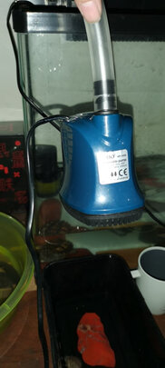 鱼缸潜水泵