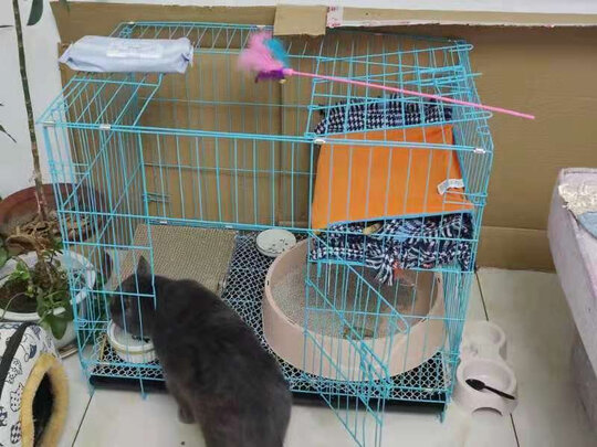 猫笼