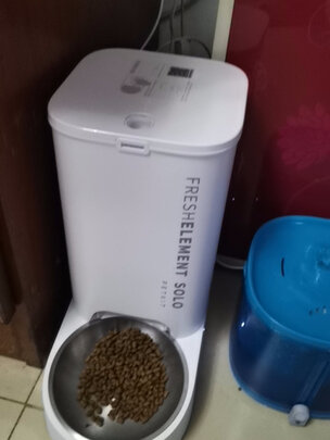 猫碗狗碗