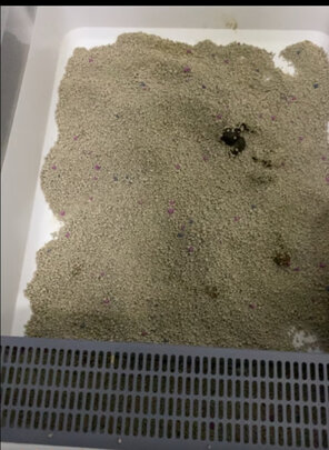膨润土猫砂