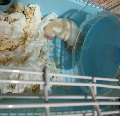 仓鼠笼子