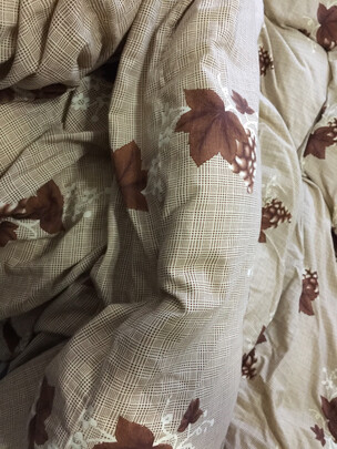 京东京造90%知芯白鸭绒被极度喜欢感受反馈