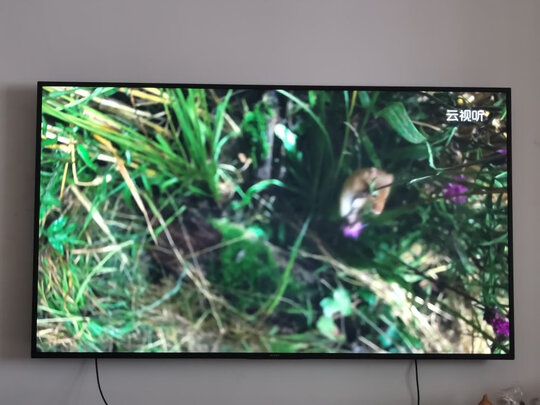 问问高手索尼KD-75X9100H怎么样?选购心得爆料!