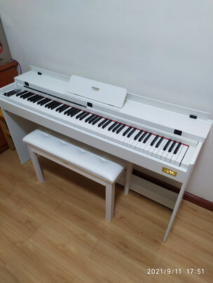 电钢琴|莫森MS-299P电钢琴怎么样评测分析结果告知！