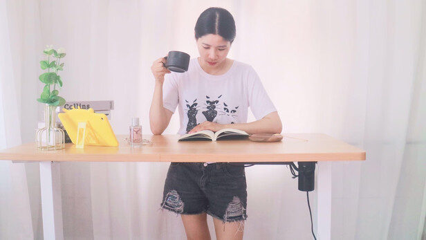 乐歌E2桌腿银灰-M电脑桌|乐歌E2桌腿银灰-M电脑桌怎么样？内幕使用评测揭秘