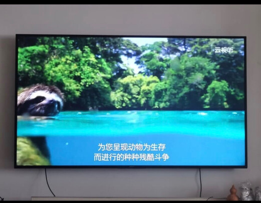 电视|知乎评测：索尼9100h和9000h区别哪款比较好？用后告诉大家真相？