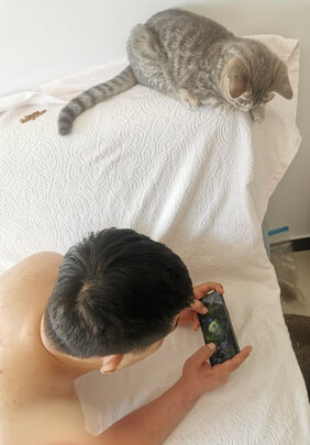 猫粮