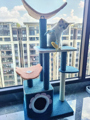 猫爬架