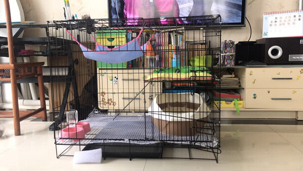  猫笼