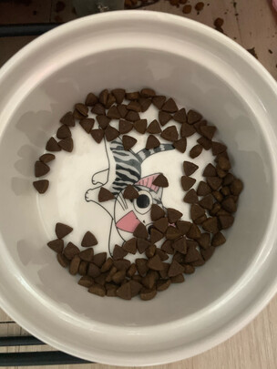 猫粮